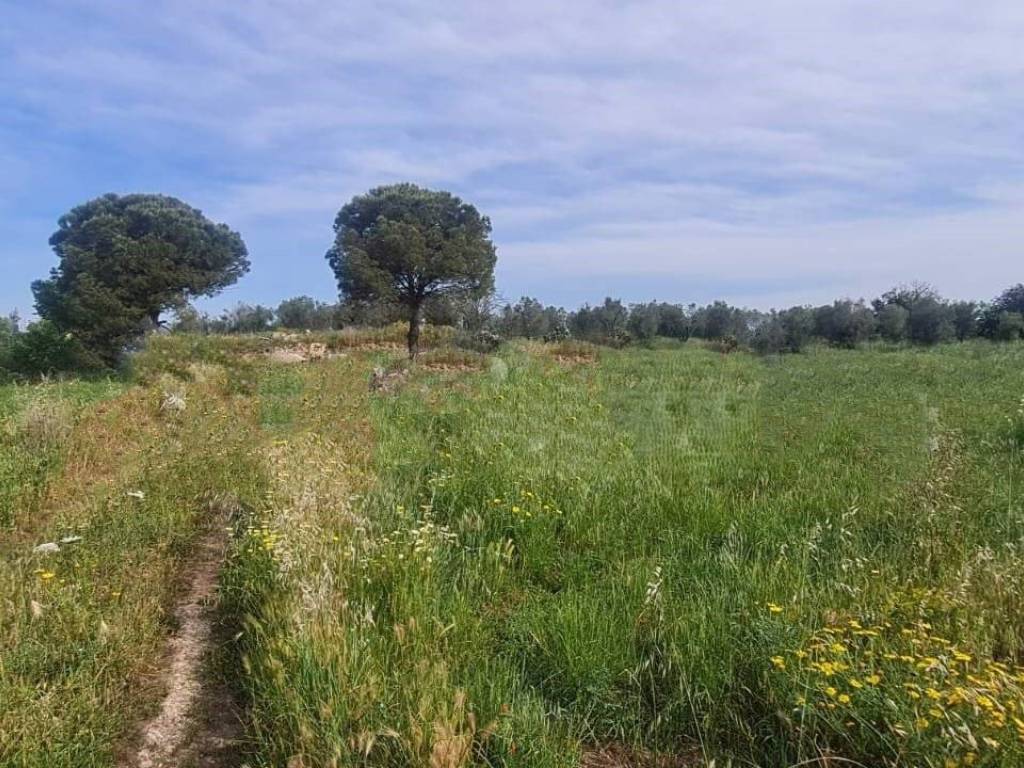 Terreno a Zollino in SP47 - Foto 5