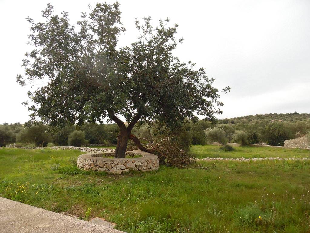 Terreno a Floridia - Foto 4