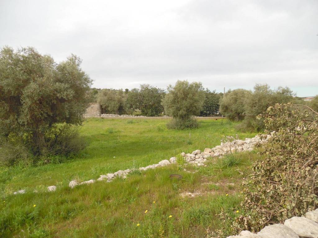 Terreno a Floridia - Foto 5