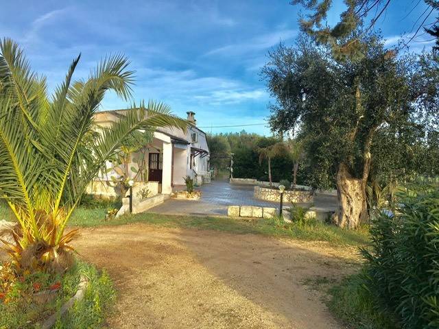 Appartamento a Oria in sp 71 km 1/4, 1 - Foto 3