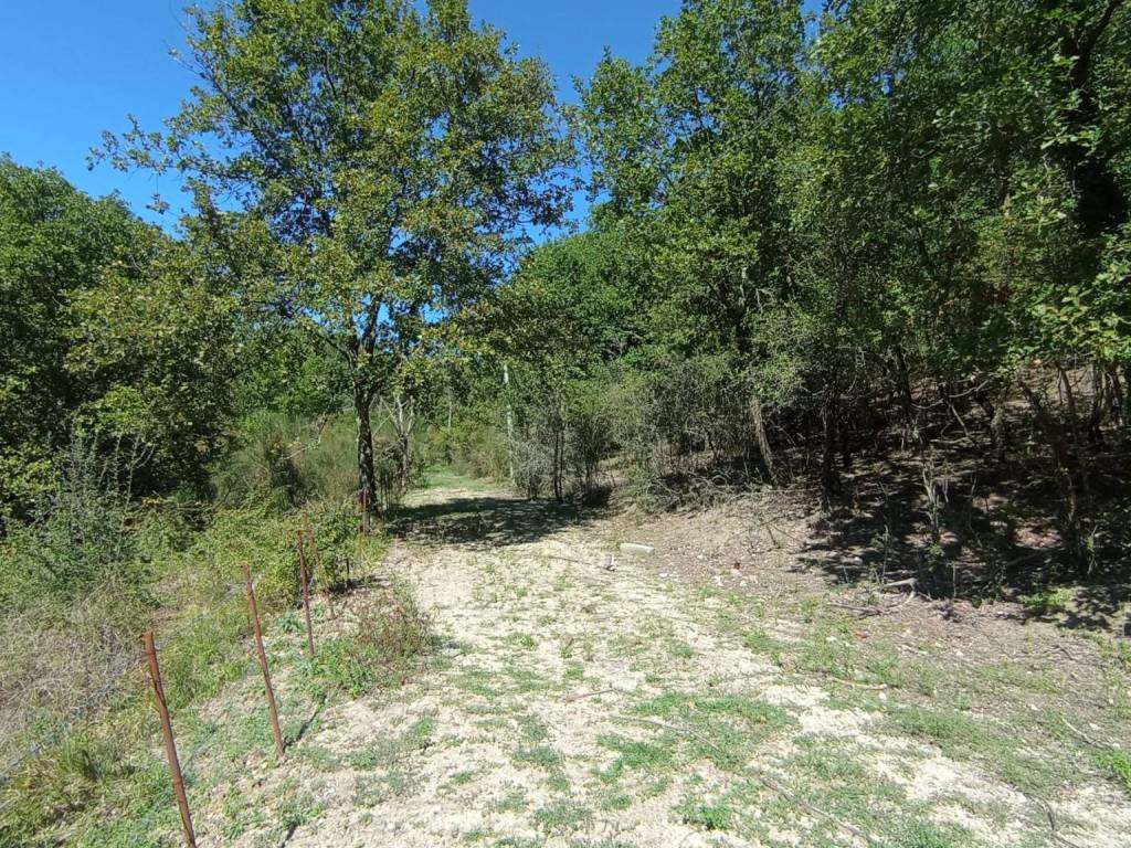 Terreno a Civitella san paolo in Strada Provinciale Civitellese Civitella S. Paolo - Foto 4