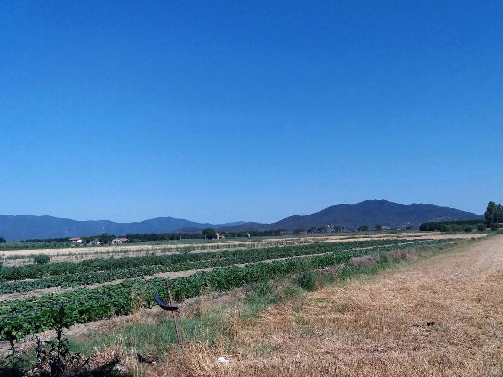 Terreno a Grosseto in ZONA CASOTTO DEI PESCATORI - Foto 3