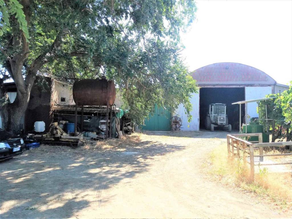 Terreno a Grosseto in ZONA CASOTTO DEI PESCATORI - Foto 5