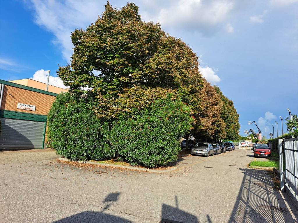 Immobile a Pioltello in Via rivoltana, 35 - Foto 3