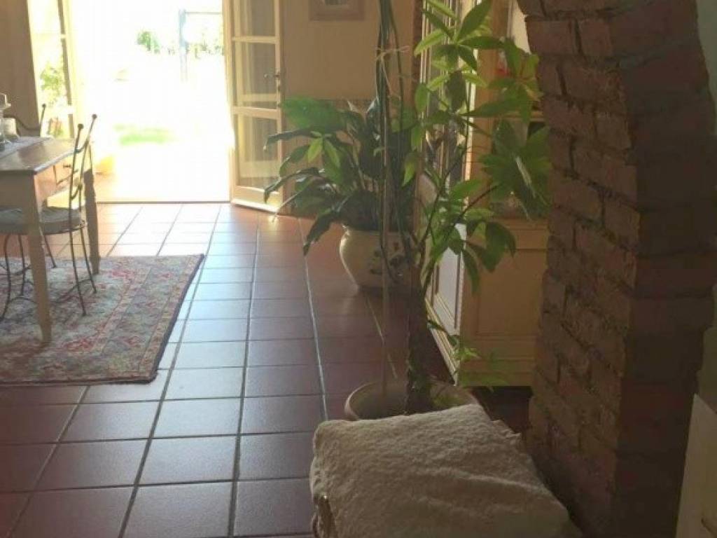 Rustico / casale a Cecina - Foto 2