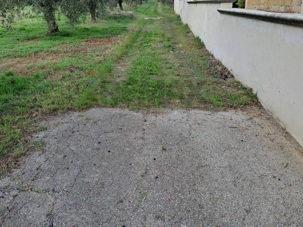 Terreno a Francavilla al mare in contrada Foro morto - Foto 5