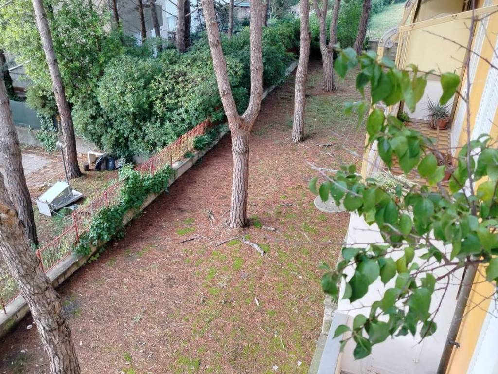 Appartamento a Rosignano marittimo - Foto 2
