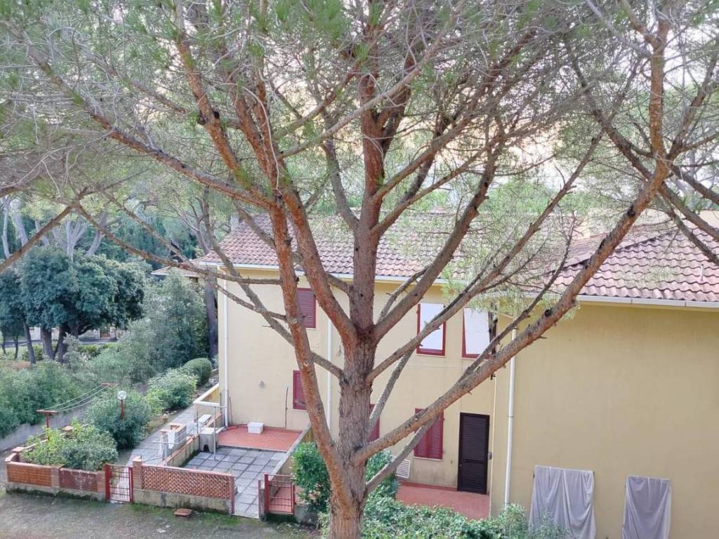 Appartamento a Rosignano marittimo - Foto 3