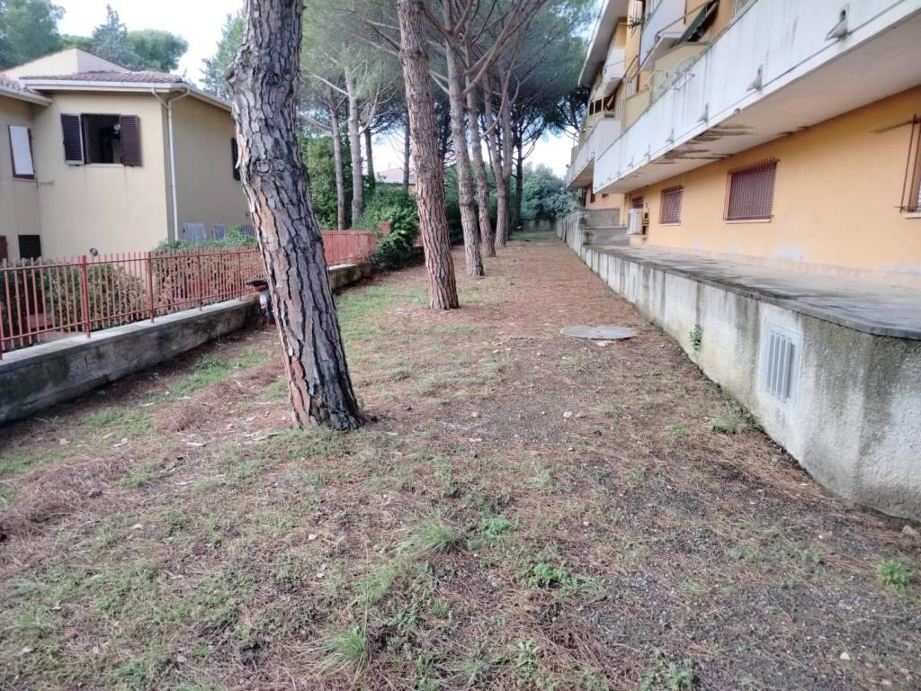 Appartamento a Rosignano marittimo - Foto 4