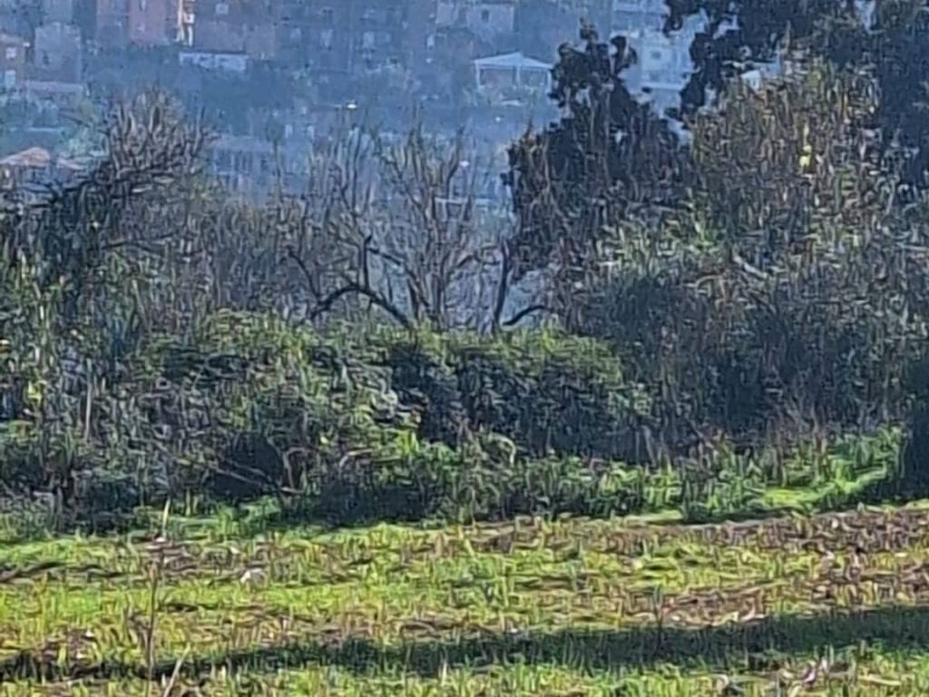 Terreno a Sezze in Via Casali Tratto 1 - Foto 2