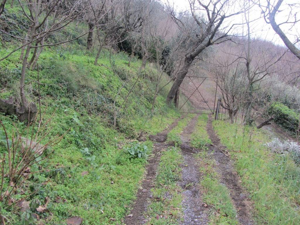Terreno a Castel san giorgio - Foto 4