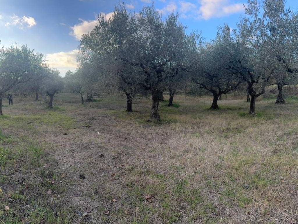 Terreno a Sant'agata de' goti - Foto 2