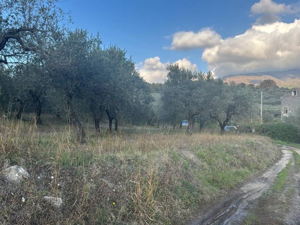 Terreno a Sant'agata de' goti - Foto 3