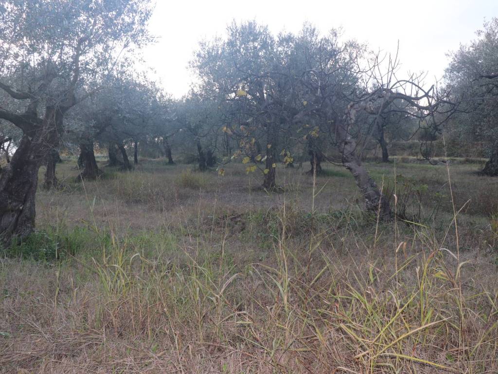 Terreno a Sant'agata de' goti - Foto 4