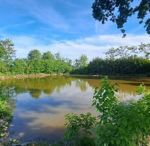 Villa a Gonzaga - Foto 4