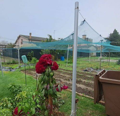 Appartamento a Gonzaga - Foto 4