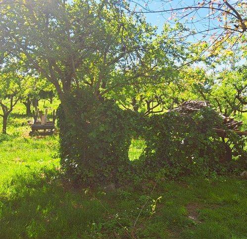 Villa a Pegognaga - Foto 4