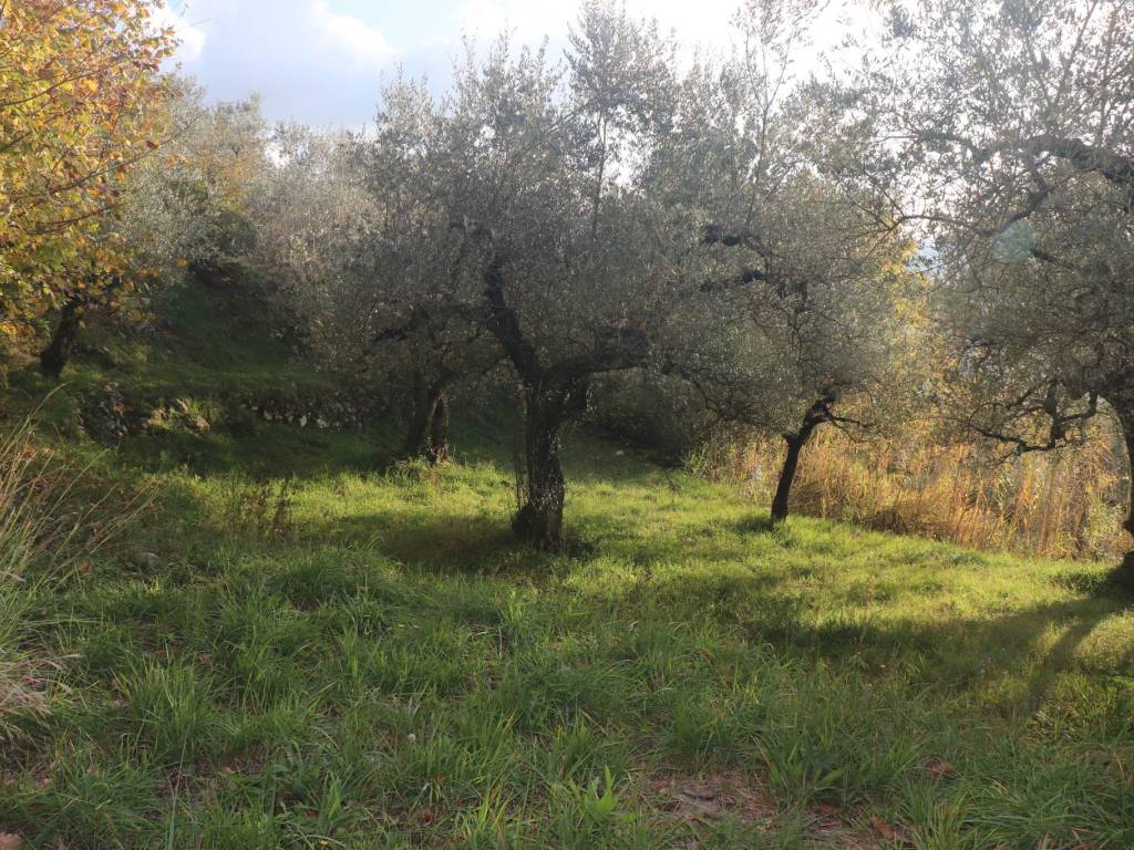 Terreno a Sant'agata de' goti - Foto 2