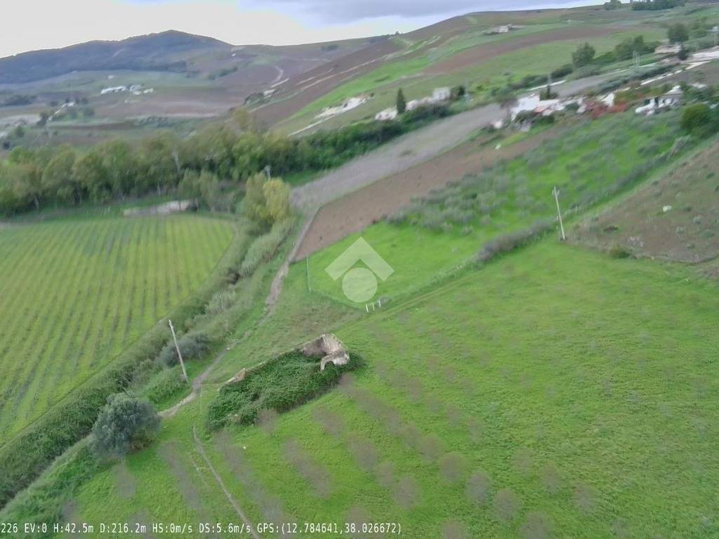 Terreno a Castellammare del golfo in CONTRADA BALATA DI BAIDA - Foto 2