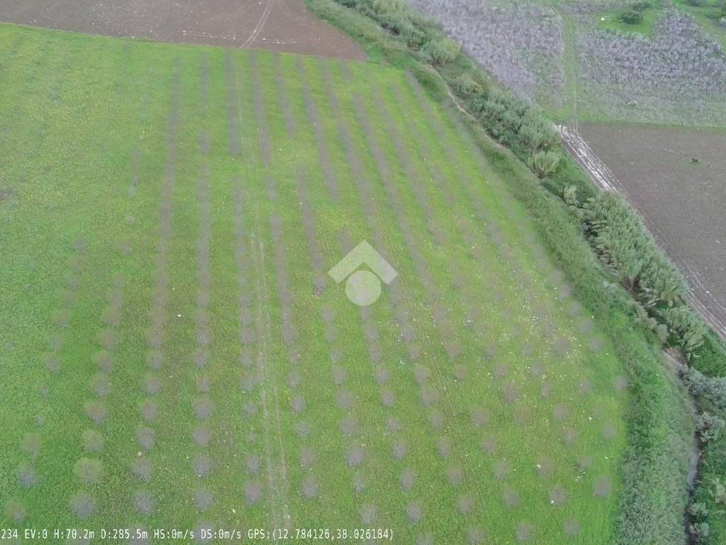 Terreno a Castellammare del golfo in CONTRADA BALATA DI BAIDA - Foto 3