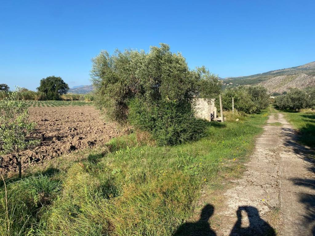 Terreno a Sessa aurunca - Foto 4