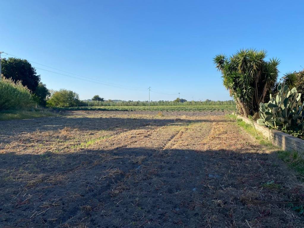 Terreno a Sessa aurunca - Foto 5