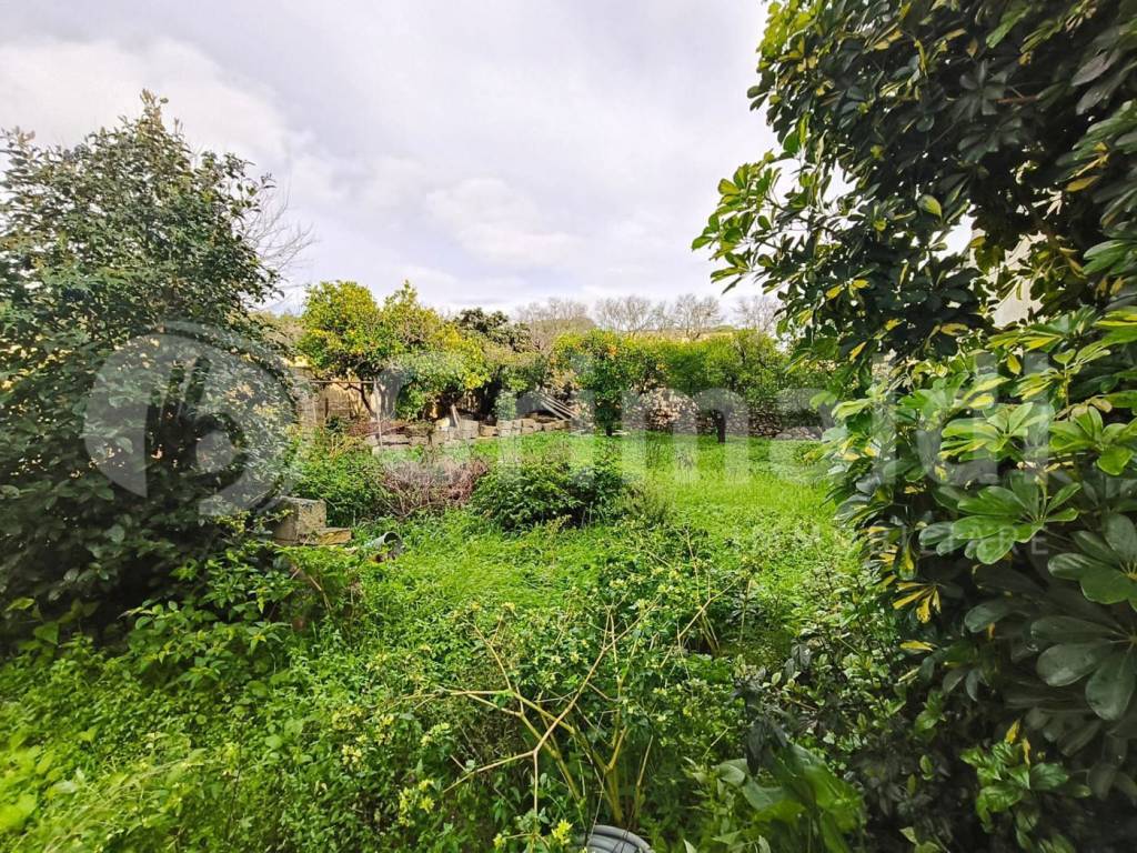 Casa indipendente a Sannicola in Via D'Annunzio, 7 - Foto 4