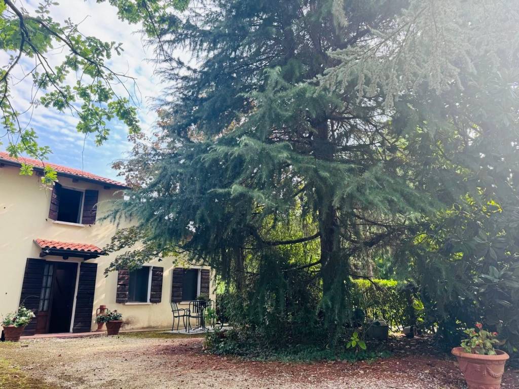 Villa a Mogliano veneto - Foto 2