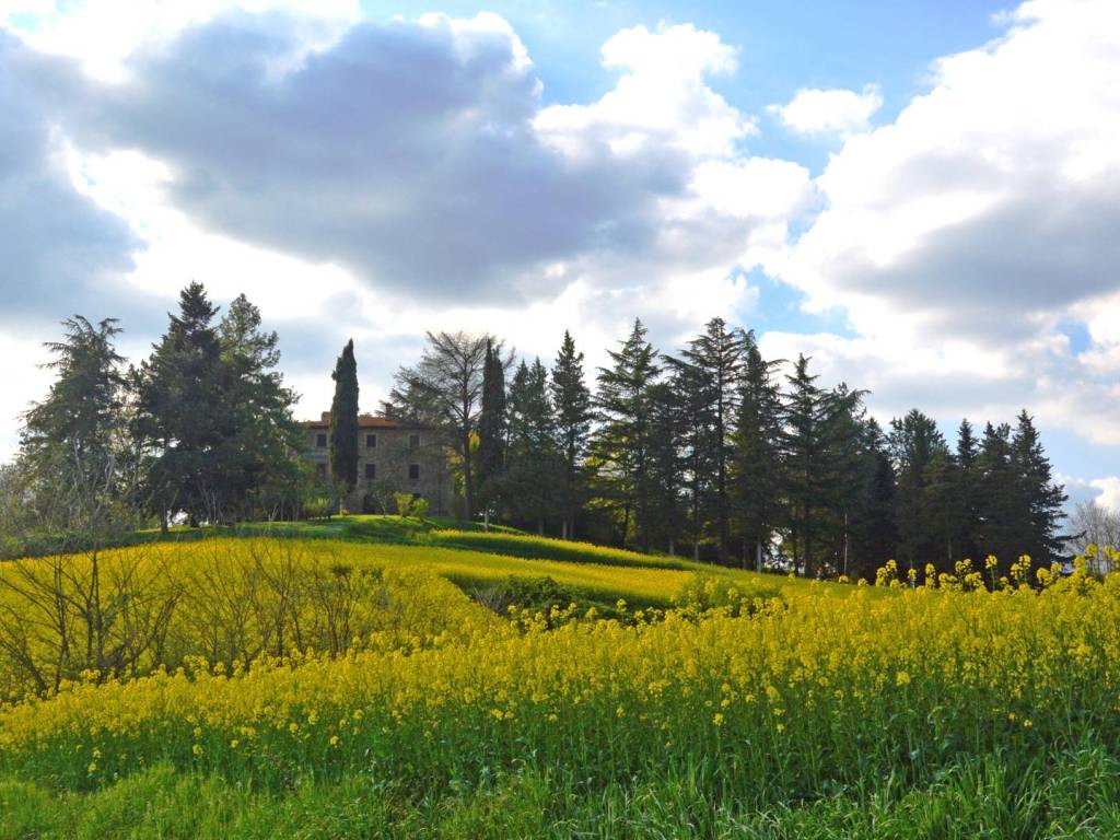 Rustico / casale a Anghiari in Via Federigo Nomi - Foto 5