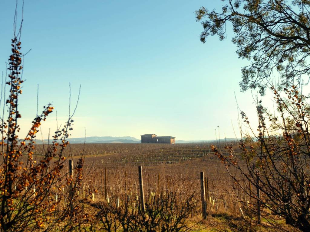 Villa a Nizza monferrato - Foto 3