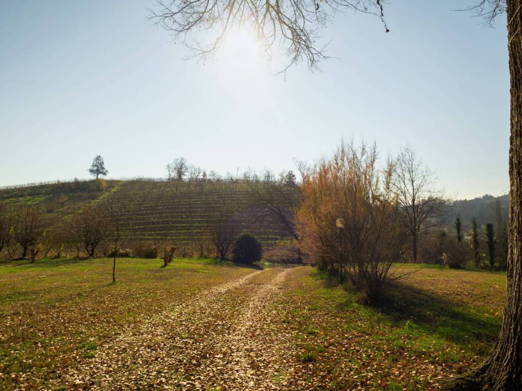 Villa a Nizza monferrato - Foto 4