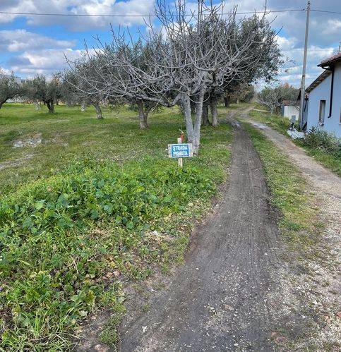 Terreno a Casalbordino in Viale Dei Tigli - Foto 2