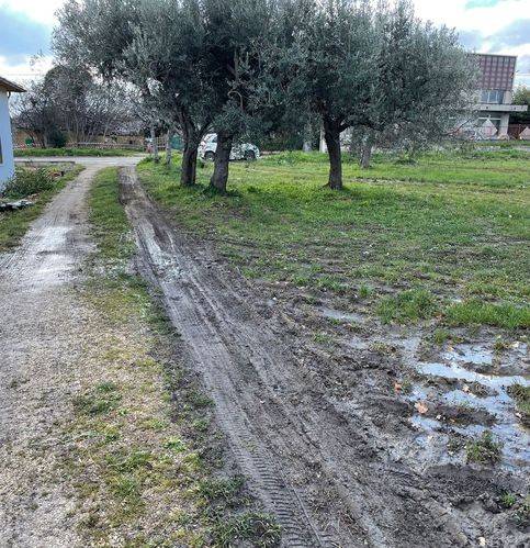 Terreno a Casalbordino in Viale Dei Tigli - Foto 3