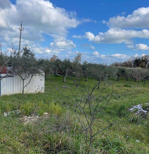 Terreno a Casalbordino in Viale Dei Tigli - Foto 4