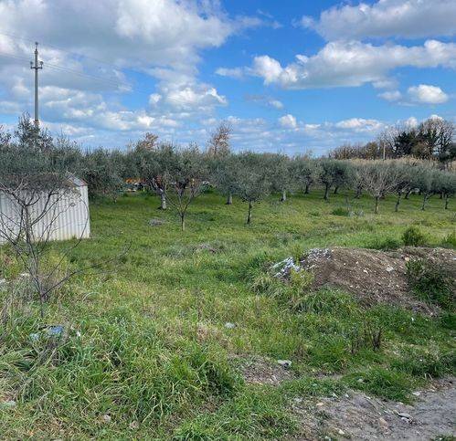 Terreno a Casalbordino in Viale Dei Tigli - Foto 5