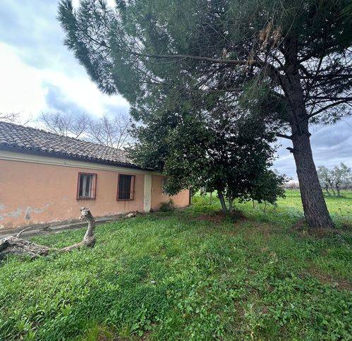Rustico / casale a Casalbordino in Contrada Selvotti - Foto 2