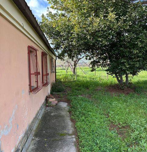 Rustico / casale a Casalbordino in Contrada Selvotti - Foto 5