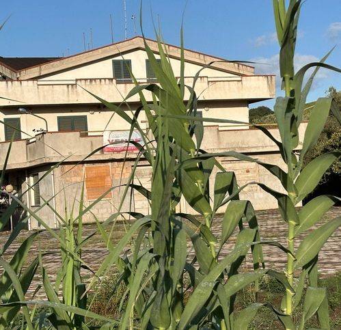 Villa a Casalbordino in C/Da Vicenne Ss 16 Adriatica - Foto 3