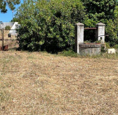 Rustico / casale a Casalbordino in Contrada Piana Sabelli 26 - Foto 3