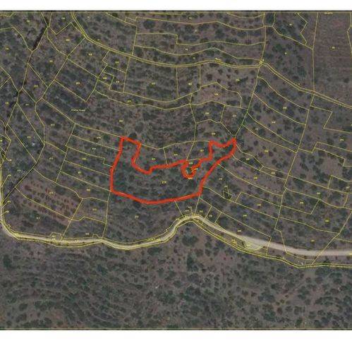 Terreno a Leni in Sp182 - Foto 2