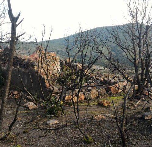 Rustico / casale a Lipari in Loc. Sangue Rosso - Foto 2