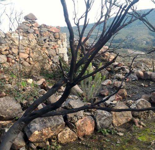Rustico / casale a Lipari in Loc. Sangue Rosso - Foto 5
