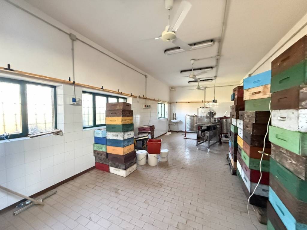 Immobile a Caluso in Strada Statale 26 della Valle d'Aosta - Foto 2