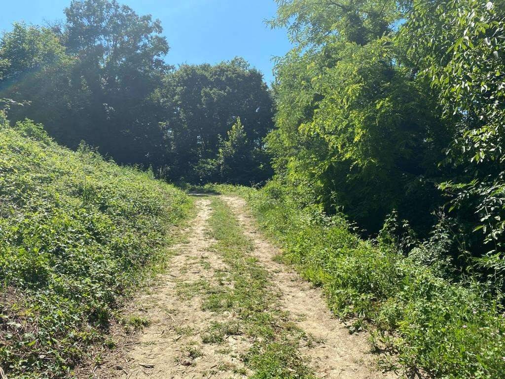 Terreno a Villa san secondo - Foto 2