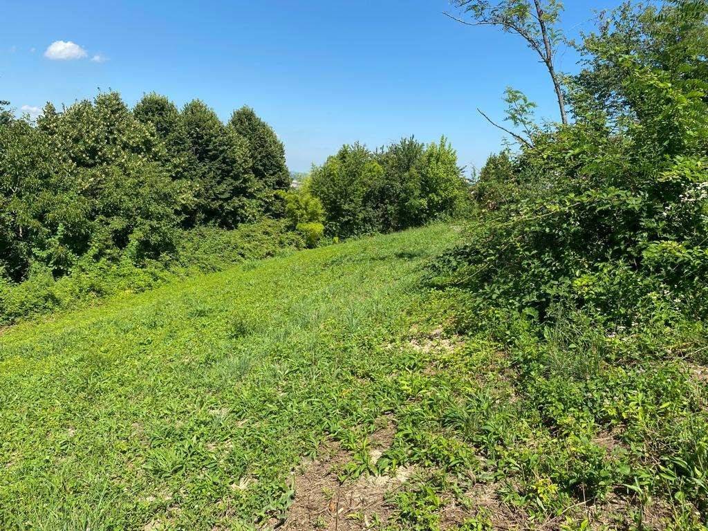 Terreno a Villa san secondo - Foto 4