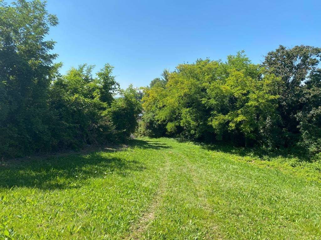 Terreno a Villa san secondo - Foto 5