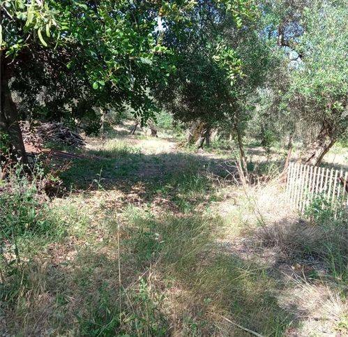 Rustico / casale a Formia in Via Pella - Foto 5