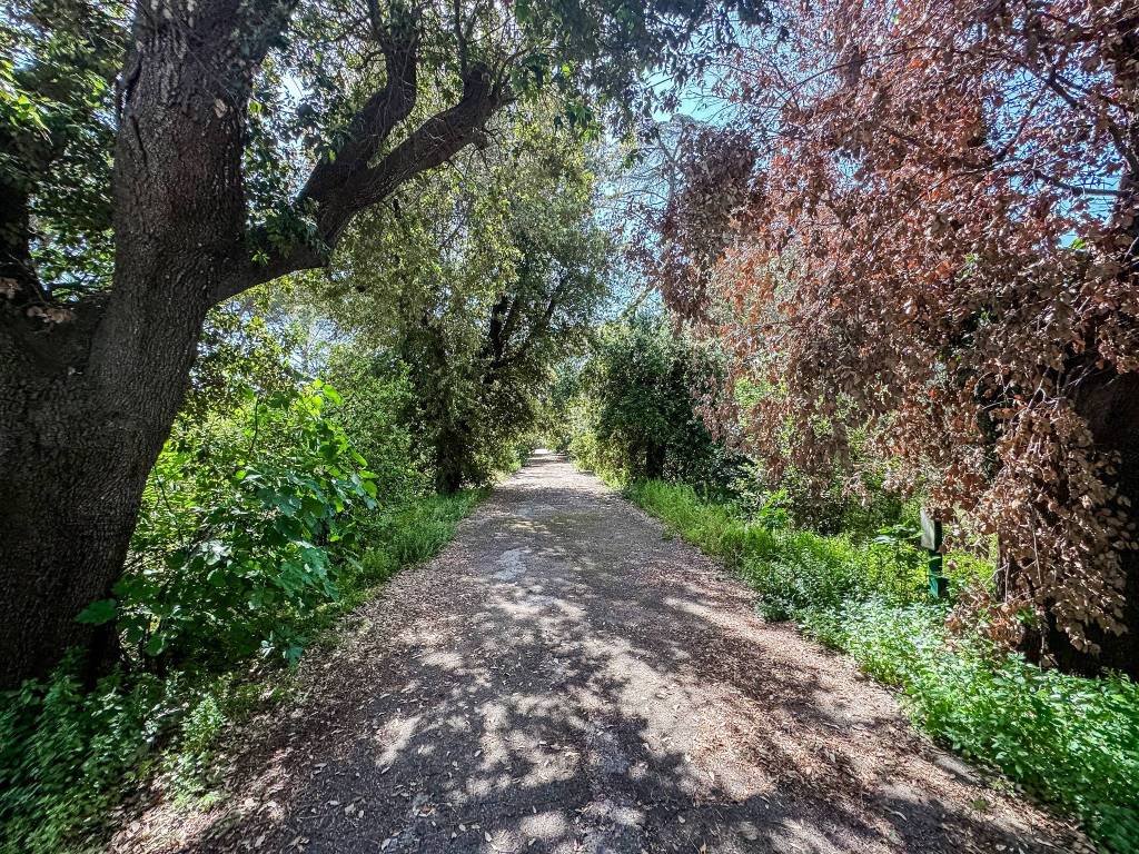 Villa a Corigliano d'otranto in Via San Leonardo - Foto 3