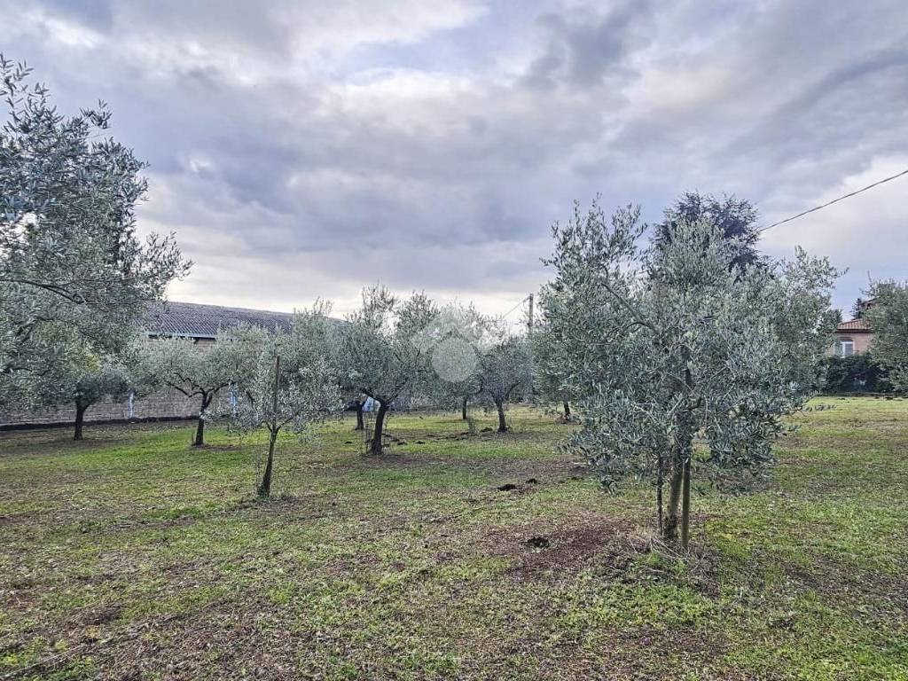 Immobile a Velletri in Via Ariana, 149 - Foto 3