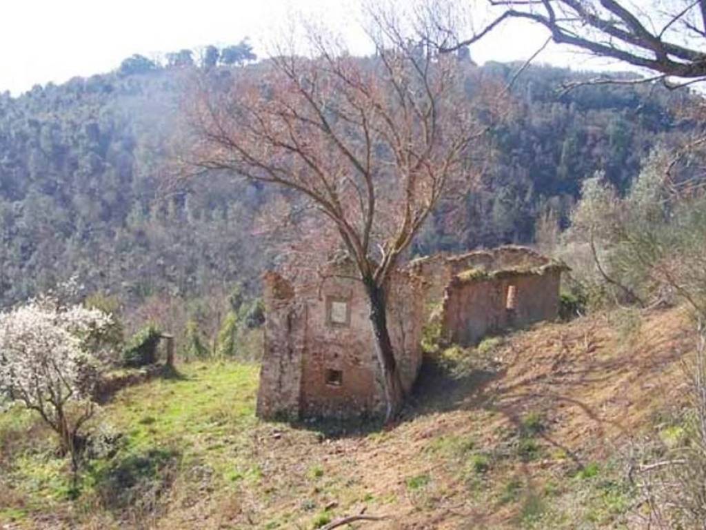 Rustico / casale a Collesalvetti - Foto 2